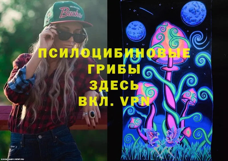 Псилоцибиновые грибы Cubensis  МЕГА сайт  Клин 